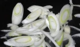吃瓜菌写真,揭秘网红植物的萌态瞬间